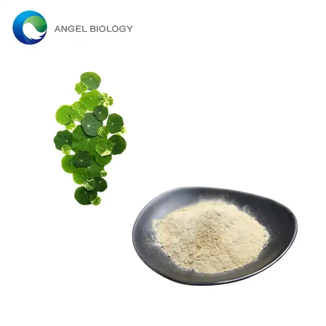 Gotu Kola Extract Powder